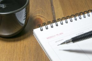 Diary sample weekly workout calendar showing different exercise days for fitness 