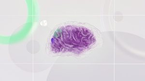 Brain activity during sleep -how sleep affects mental health 
