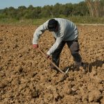 Farmers carry for grip and endurance