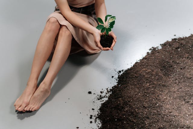 Illustration of simplicity as kee ingredients in self growth strategies 