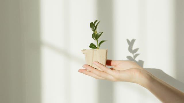 Why self growth motivation tips matter for life success 