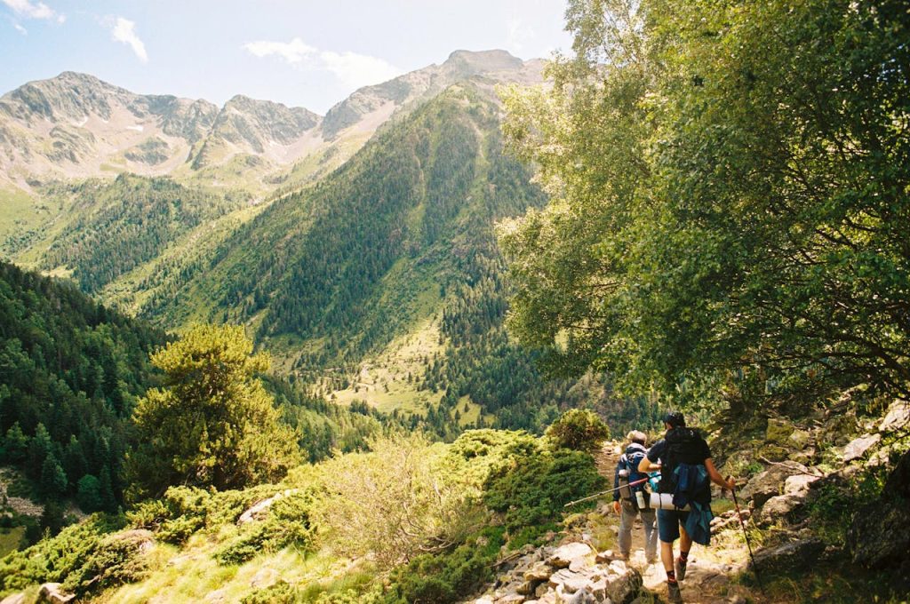 Best hiking trails for wellness showing a peaceful nature hiking path with mountains and sunrise